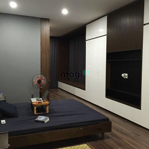 Hình ảnh Siêu Phẩm Nhà Biệt Thự Lý Nhật Quang
