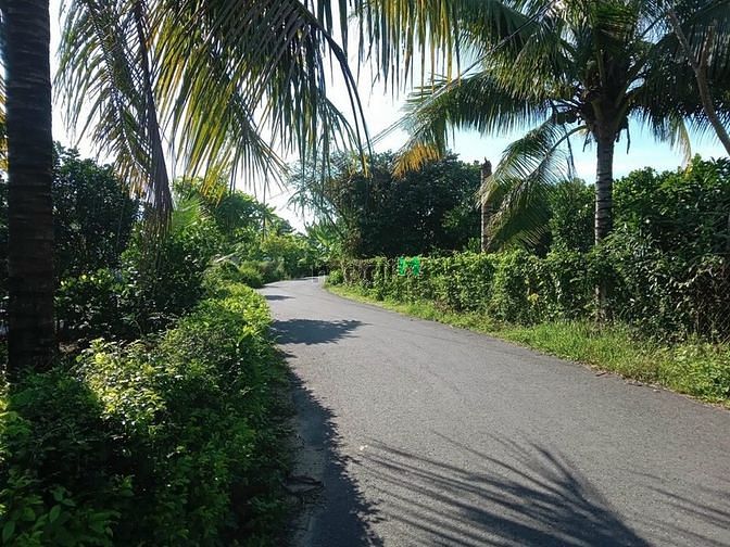 Hình ảnh Gia Đình Cần Bán Gấp Lô Đất Diên Phước - Khánh Hòa