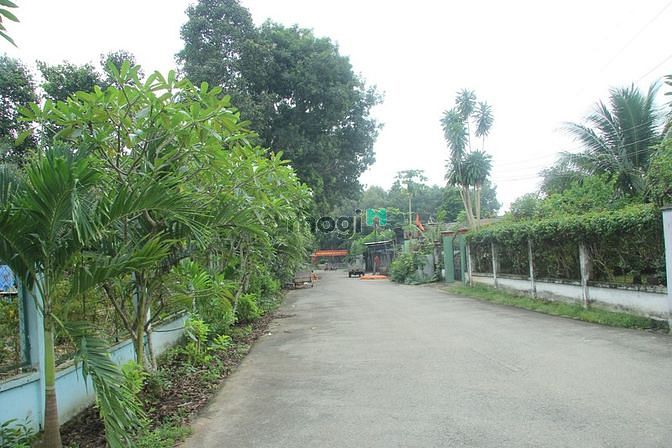 Hình ảnh Đất sát sân bay Long Thành, gần cổng chính. Em dẫn xem tận mắt mới tin