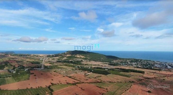 Hình ảnh Cần bán lô đất view biển 3778m2 xã Hòa Thắng, kế bên quỹ đất Vingroup