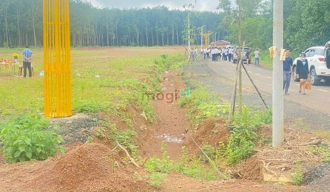 Hình ảnh Bán đất Đồng Phú, Bình Phước vị trí đẹp, mặt đường nhựa, có sổ sẵn