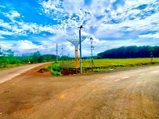 Hình ảnh Bán đất Đồng Phú, Bình Phước vị trí đẹp, mặt đường nhựa, có sổ sẵn