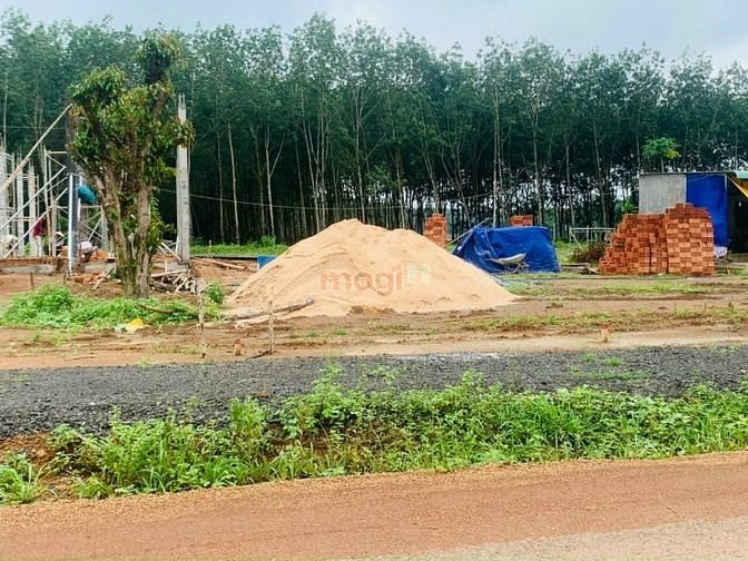 Hình ảnh Bán đất Đồng Phú, Bình Phước vị trí đẹp, mặt đường nhựa, có sổ sẵn