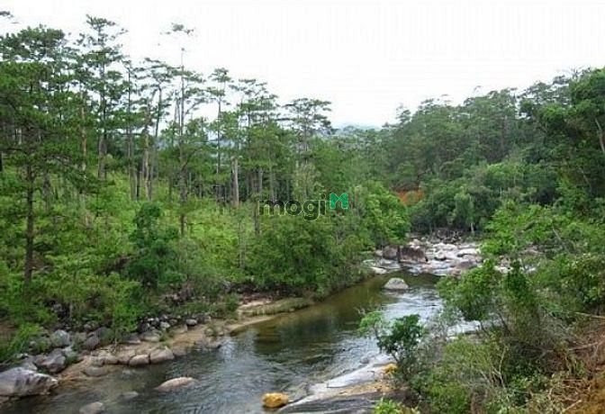 Hình ảnh Đất thổ cư giáp suối 1141m2, Chỉ 1.65 tỷ, Xây nhà vườn rất đẹp