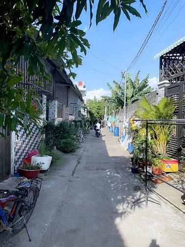 Hình ảnh Bán ĐẤT FULL THỔ CƯ 320TR Sổ Hồng Riêng PHAN VĂN HỚN Hóc Môn