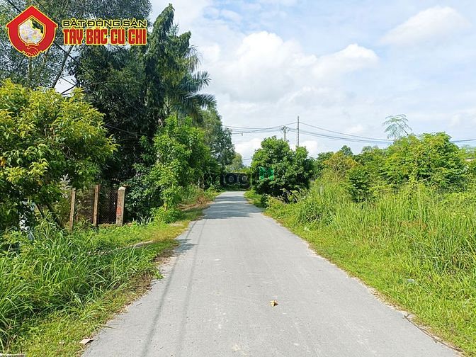 Hình ảnh Bán đất đường 500 - 385m2 - 6x64 - 300m2 thổ cư - xã phạm văn cội -