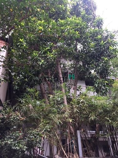 Hình ảnh Gấp bán 700m2 Đất dự án khu dân cư Khang Điền, Tp.Thủ Đức, chỉ 70 tỷ.