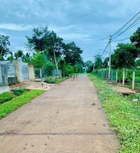 Hình ảnh Cần bán lô đất để đi xuất khẩu lao động