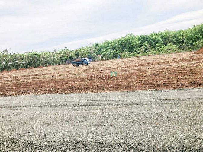 Hình ảnh Đất nền sổ sẵn Lộc Ninh Bình Phước