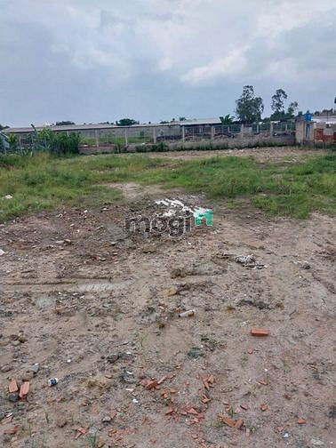 Hình ảnh Cho thuê 1000mv đất lúa TX25 giá 5tr
