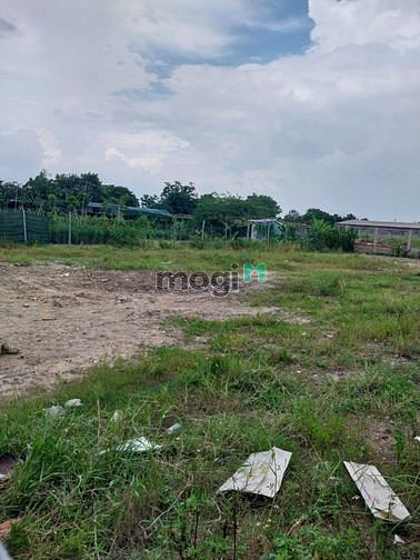Hình ảnh Cho thuê 1000mv đất lúa TX25 giá 5tr