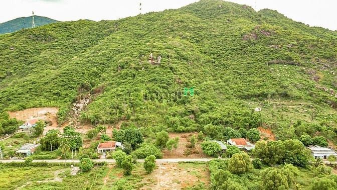 Hình ảnh NINH PHÚ đất này k xem thì tiếc mà xem k mua thì phí lắm ạ