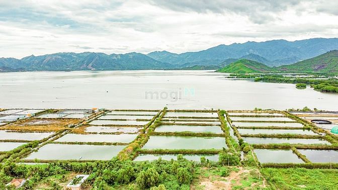 Hình ảnh NINH PHÚ đất này k xem thì tiếc mà xem k mua thì phí lắm ạ