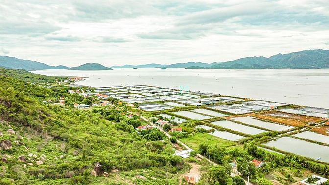 Hình ảnh NINH PHÚ đất này k xem thì tiếc mà xem k mua thì phí lắm ạ