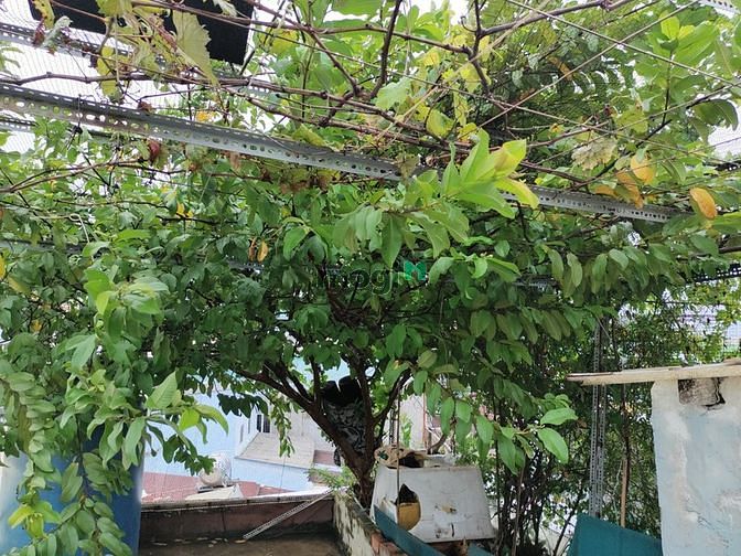 Hình ảnh Nhà Mặt tiền Tái Thiết Quận Tân Bình