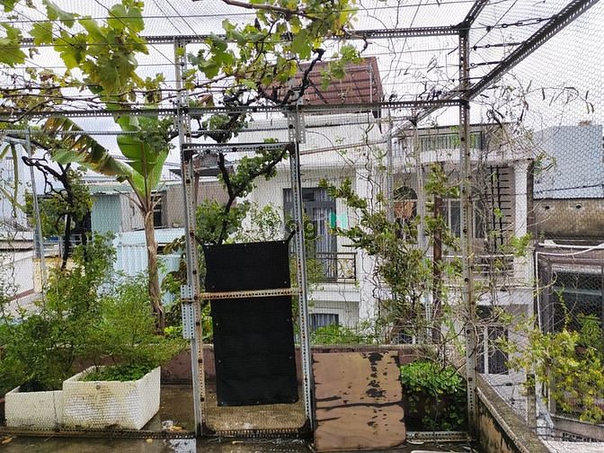 Hình ảnh Nhà Mặt tiền Tái Thiết Quận Tân Bình