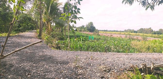 Hình ảnh Bán gấp 5000m2 đất lúa xã Trung An, 1 sổ, giá 900 nghìn