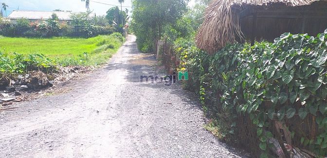 Hình ảnh Bán gấp 5000m2 đất lúa xã Trung An, 1 sổ, giá 900 nghìn