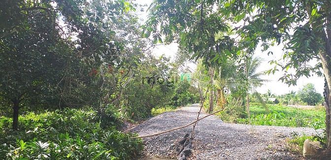 Hình ảnh Bán gấp 5000m2 đất lúa xã Trung An, 1 sổ, giá 900 nghìn