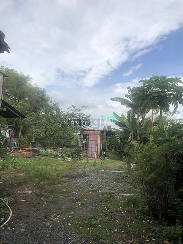 Hình ảnh Bán 1.000m2 Đất Mặt Tiền Bến Than Hòa Phú Củ Chi