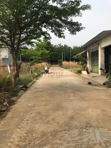 Hình ảnh Bán gấp lô đất 100m2 dân cư đông,  ngay chợ bến lớn, khu 3 Tân định