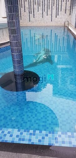 Hình ảnh Biệt thự cao cấp MT Đặng Hữu Phổ, Thảo Điền. 1,033m2 đất. Trệt 2 lầu.