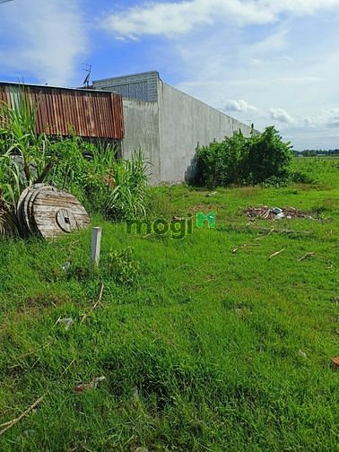 Hình ảnh Bán ĐẤT Full THỔ CƯ 125m2 HÓC MÔN Sổ Hồng Riêng