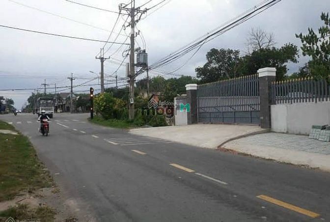 Hình ảnh Dự án Đất nền ở nông thôn khu vực Cần Đước - Long An