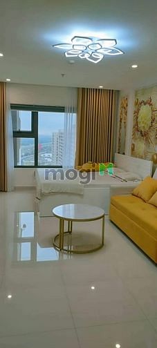 Hình ảnh Bán căn studio - VINHOMES OCEAN PARK
