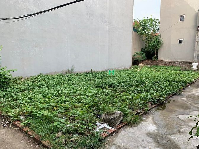 Hình ảnh Bán đất phúc lợi - cực phẩm, hiếm có khó tìm, 42m2, hơn 2 tỷ xíu