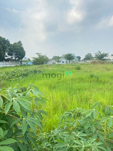Hình ảnh Cần Bán Gấp Lô Đất Bình Chánh dt 100 m2 giá 1Ty7