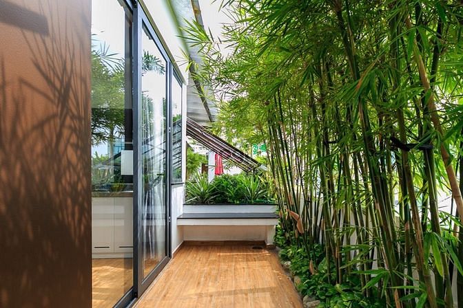 Hình ảnh Căn Hộ Tân Bình - Có sân vườn - giáp Phú Nhuận và Quận 3