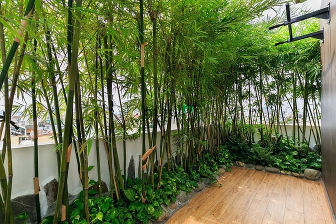 Hình ảnh Căn Hộ Tân Bình - Có sân vườn - giáp Phú Nhuận và Quận 3