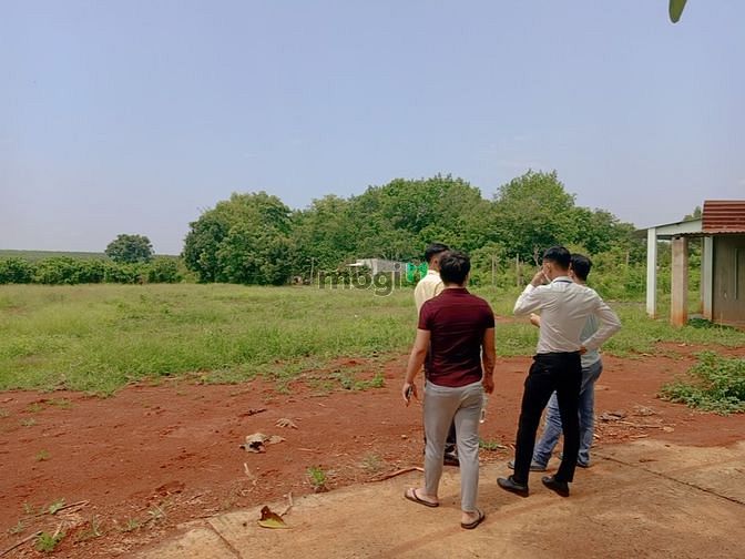 Hình ảnh 6 lô đất thổ cư 200m2 KCN Lộc Ninh, Bình Phước