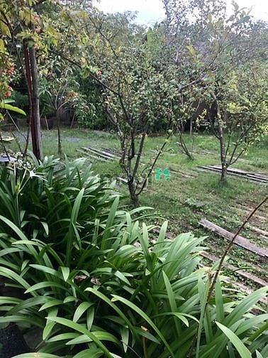 Hình ảnh Bán nhà Trần Quý Cáp, Bình Thạnh, 69m2, 5,8 tỷ.