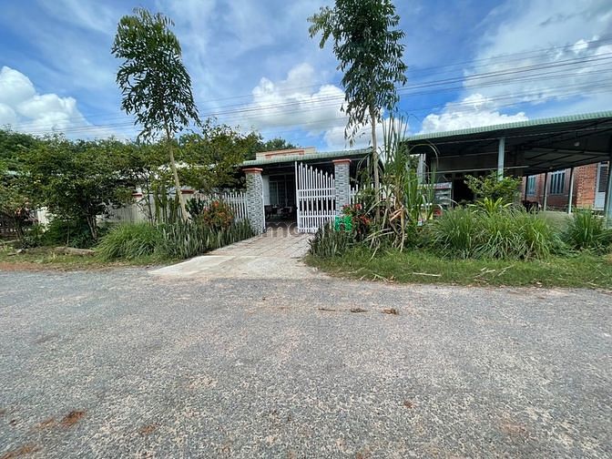 Hình ảnh Siêu đẹp đất Tân Biên, Tây Ninh 140m2 chỉ 465tr tặng ngay 2 chỉ vàng