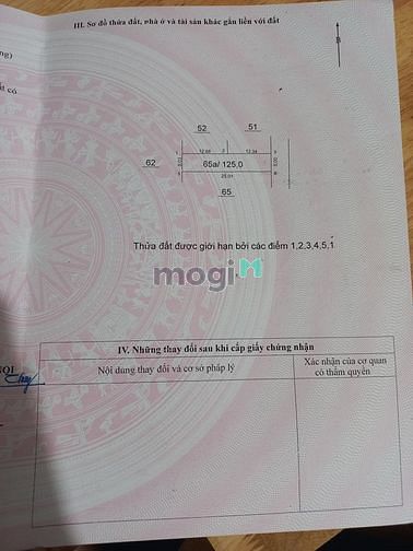 Hình ảnh Siêu phẩm giá rẻ. nhỉnh 2 tỷ có ngay siêu phẩm 125m2 đất mai đình -
