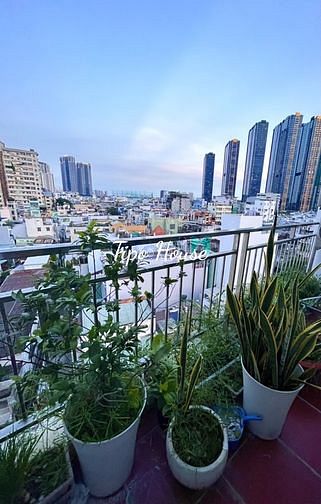 Hình ảnh Sang hợp đồng CHDV Huỳnh Mẫn Đạt- Bình Thạnh