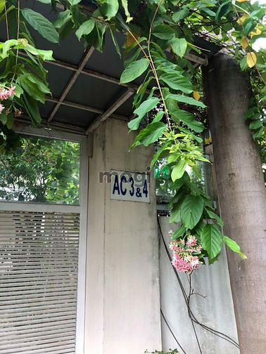Hình ảnh Biệt thự đường 66, Thảo Điền. 656m2 đất. Trệt, 2 lầu. 76 Tỷ