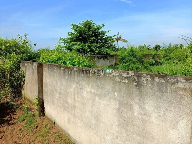 Hình ảnh Bán 10000m2 Đất mặt tiền, gần chợ Long Phước, Tp.Thủ Đức, chỉ 180 tỷ.