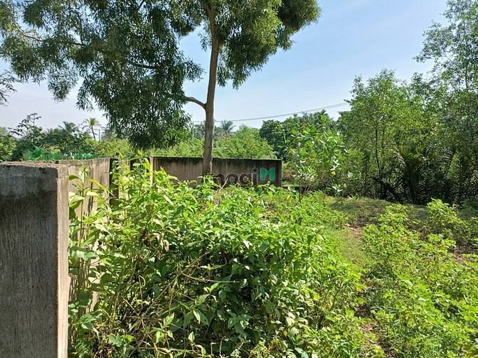 Hình ảnh Bán 10000m2 Đất mặt tiền, gần chợ Long Phước, Tp.Thủ Đức, chỉ 180 tỷ.