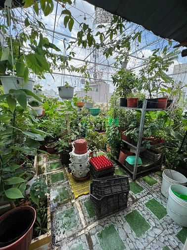 Hình ảnh ✅ Bán nhà 4 tầng Bành Văn Trân, 39m2, 5.73 tỷ ✅