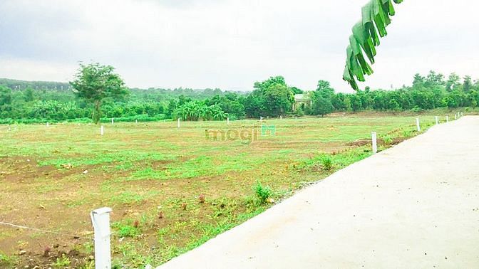 Hình ảnh Đất Xào 1.300m2 Xuân Tây, Cẩm Mỹ, Giáp Suối, Có Thổ Cư