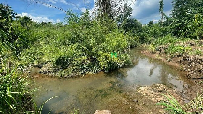 Hình ảnh Đất Xào 1.300m2 Xuân Tây, Cẩm Mỹ, Giáp Suối, Có Thổ Cư