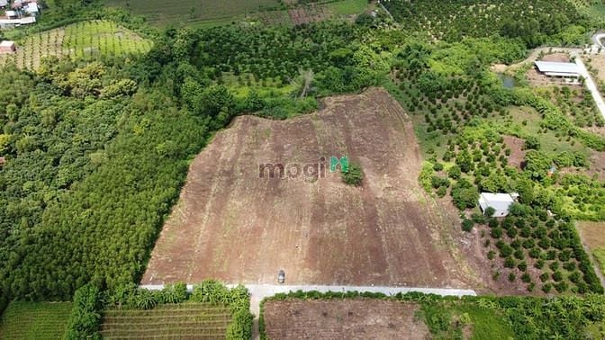 Hình ảnh Đất Xào 1.300m2 Xuân Tây, Cẩm Mỹ, Giáp Suối, Có Thổ Cư