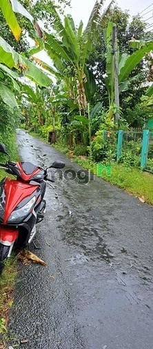 Hình ảnh Nền thổ cư lộ oto gần chợ Ba Se