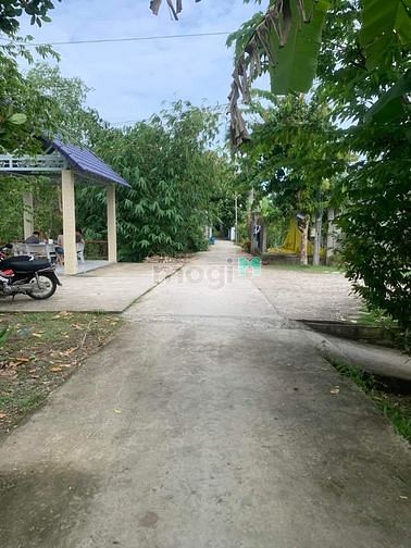 Hình ảnh Nền thổ cư đường nhánh Nguyễn Văn Quy