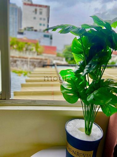 Hình ảnh khai trương Trang Chủ MB66.COM / Đăng Ký Tặng 66K mới 100% ngay sân bay tân sơn nhất