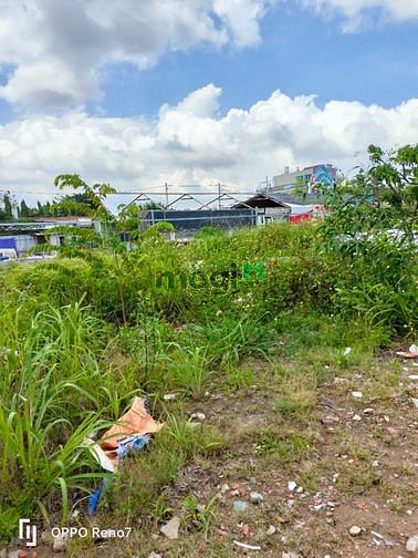Hình ảnh Cho thuê đất và kho xưởng mt sông sg