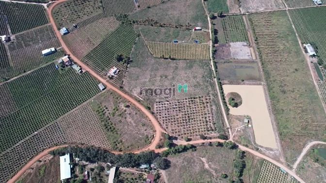 Hình ảnh 👉 Hiếm, bán đất ODT, Góc 3 Mặt Tiền-16.503M2-Tân Nghĩa Hàm Tân Bình T